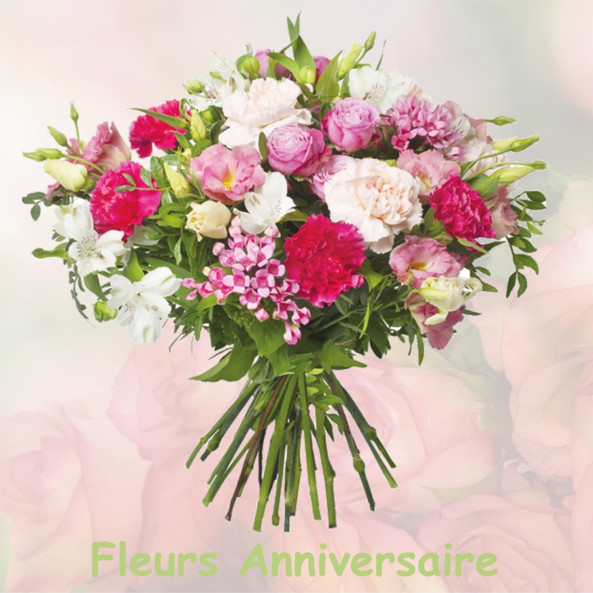fleurs anniversaire WASNES-AU-BAC